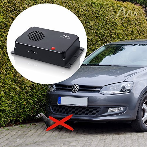 Marder In Der Garage? » Mit Diesem Schutz Gelingt Die Marderabwehr - Foto 2